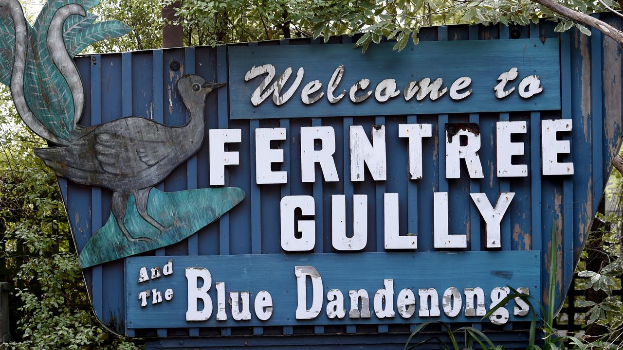 Ferntree Gully Image